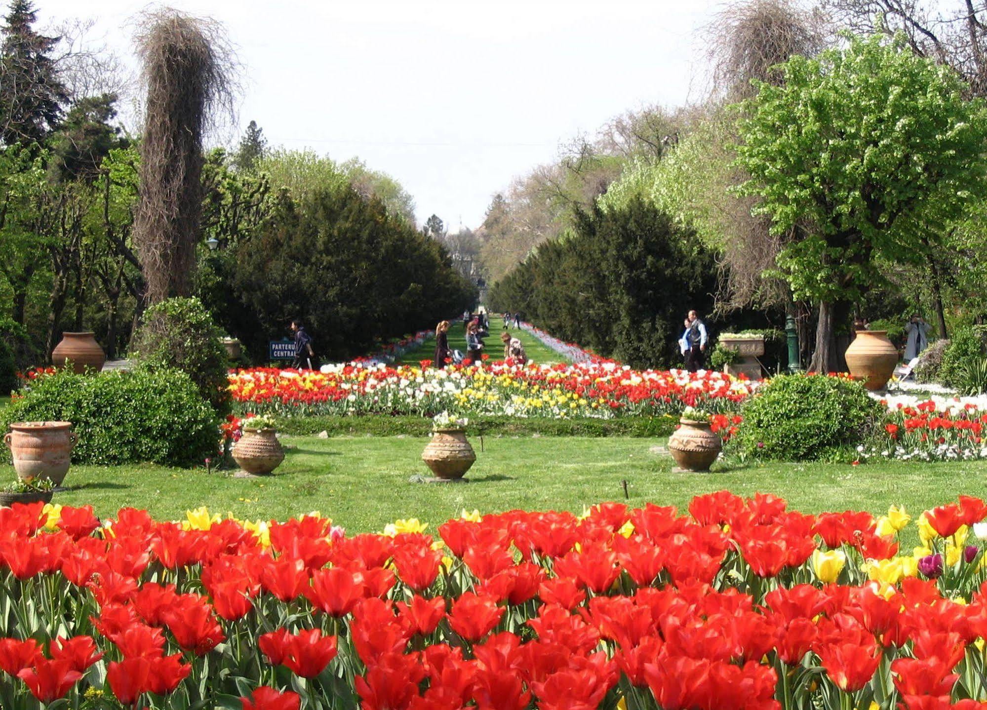 Central Park View Apartments Bucarest Extérieur photo